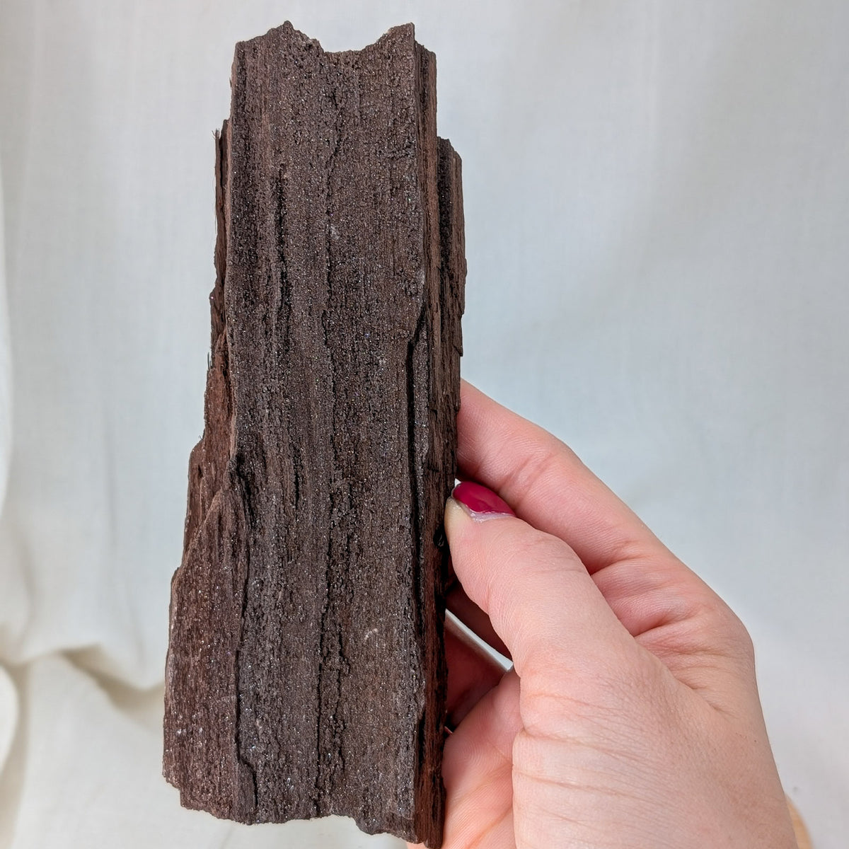 Feenholz / Permineralisiertes Holz [AT]