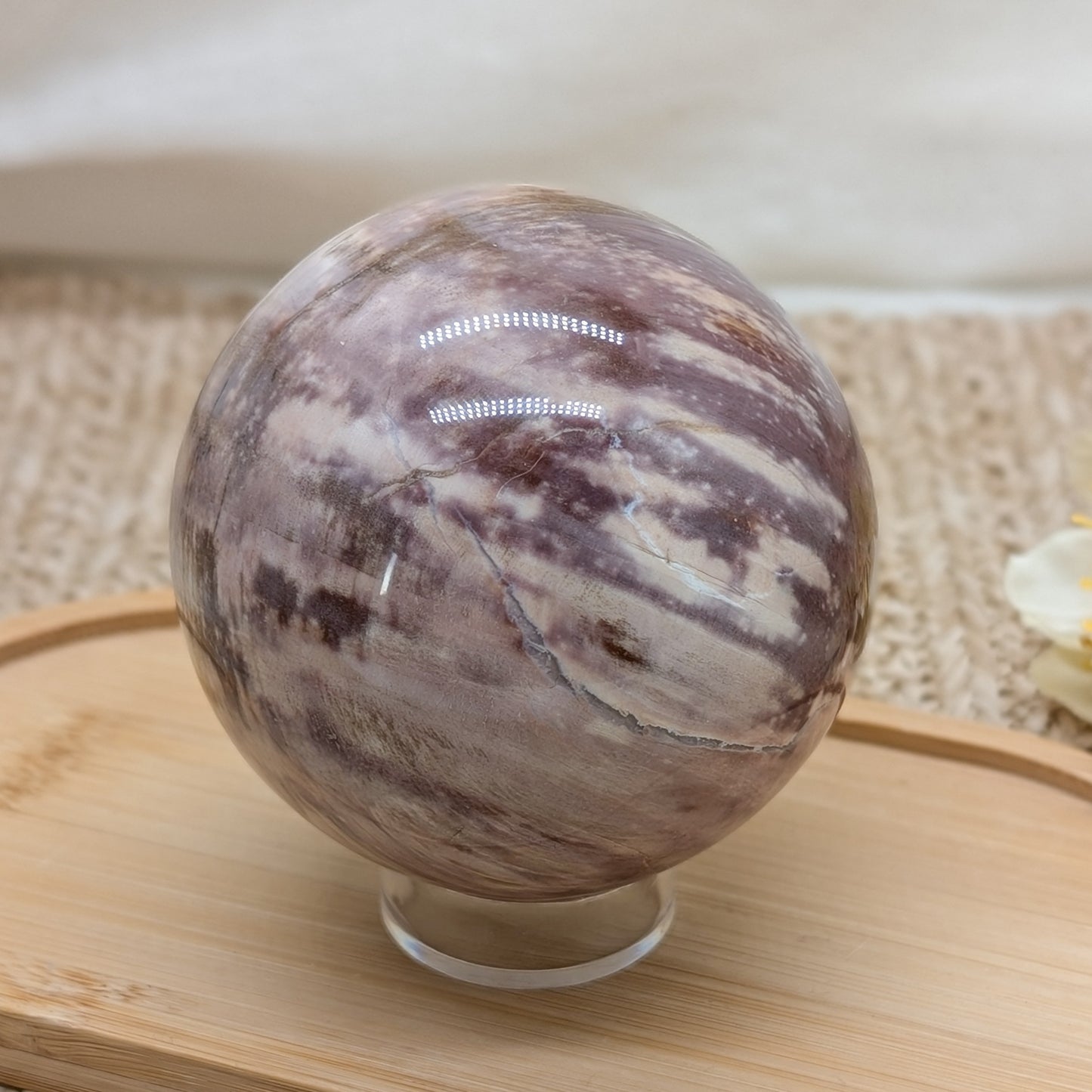 Rosa Versteinertes Holz Kugel [VK]