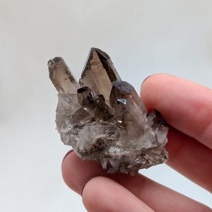 Kleines Rauchquarz Cluster [A+B]