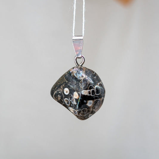 Turitella Kettenanhänger, 925er Silber [U]