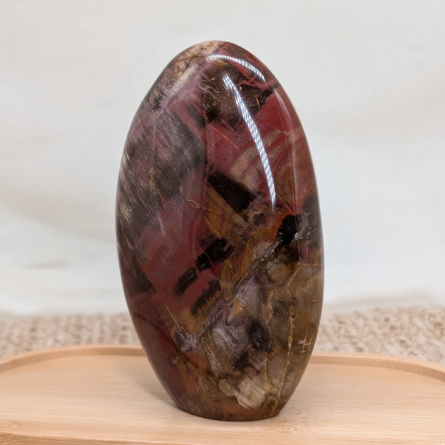 Versteinertes Holz Freiform [E]