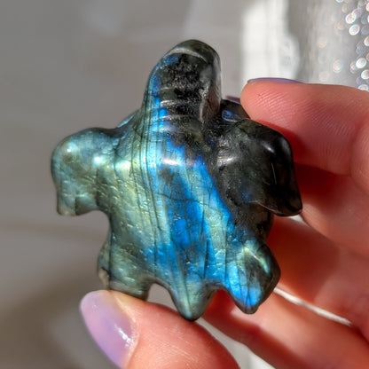 Labradorit Schildkröte mit Flash [BO]