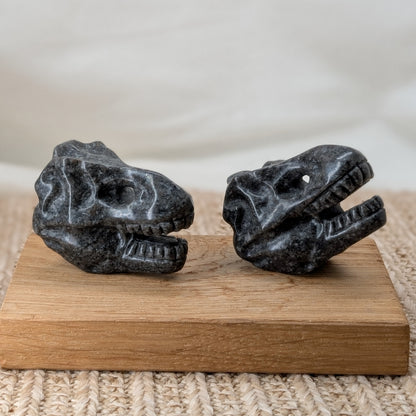 Yooperlit Dino Schädel