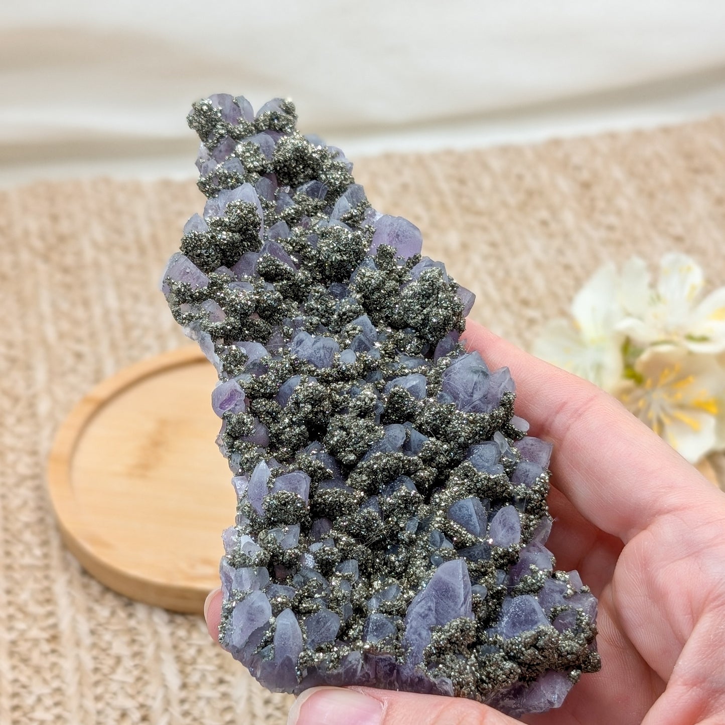 Amethyst Cluster mit Pyrit [LP]