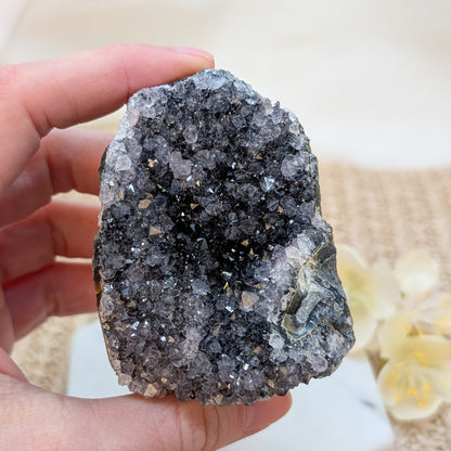 Amethyst Cluster / Freiform [OI]