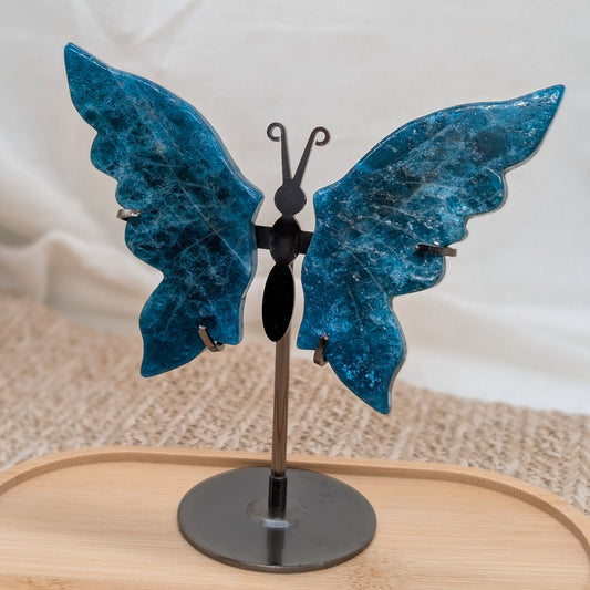 Apatit Schmetterling [X]