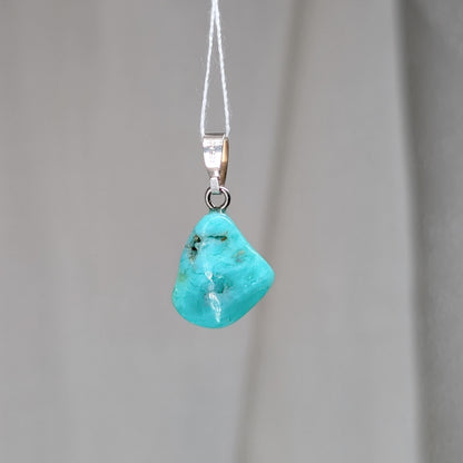 Chrysopras Kettenanhänger, 925er Silber [C]