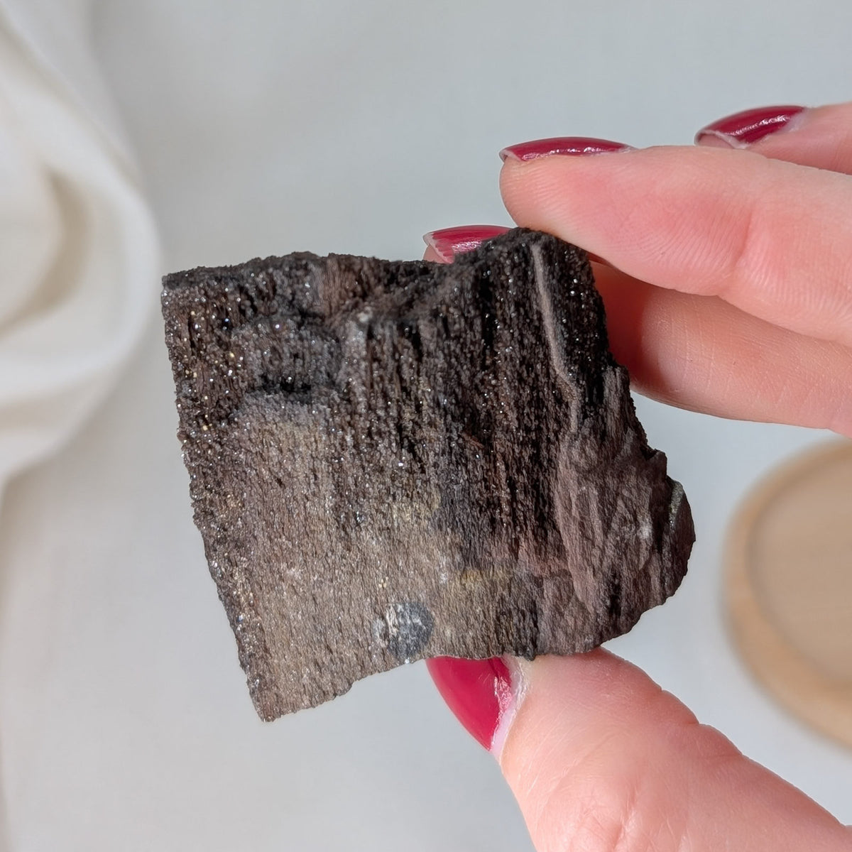 Feenholz / Permineralisiertes Holz [TB]