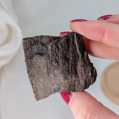 Feenholz / Permineralisiertes Holz [TB]