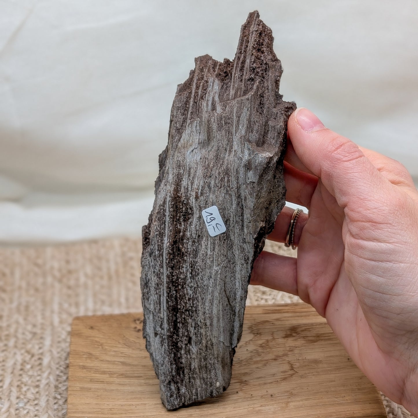 Feenholz / Permineralisiertes Holz [C]