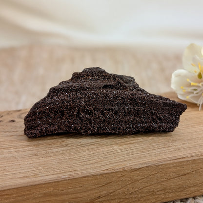 Feenholz / Permineralisiertes Holz [C]