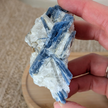 Kyanit / Disthen in Quarz Rohstein [C+D]