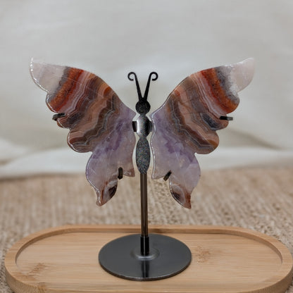 Crazy Lace Amethyst Schmetterling [TA]