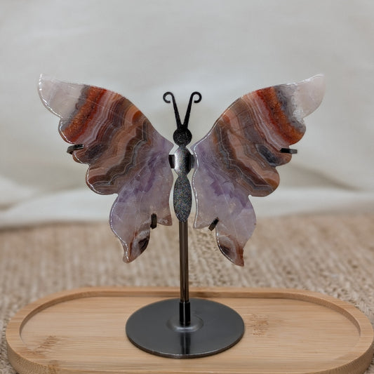 Crazy Lace Amethyst Schmetterling [TA]