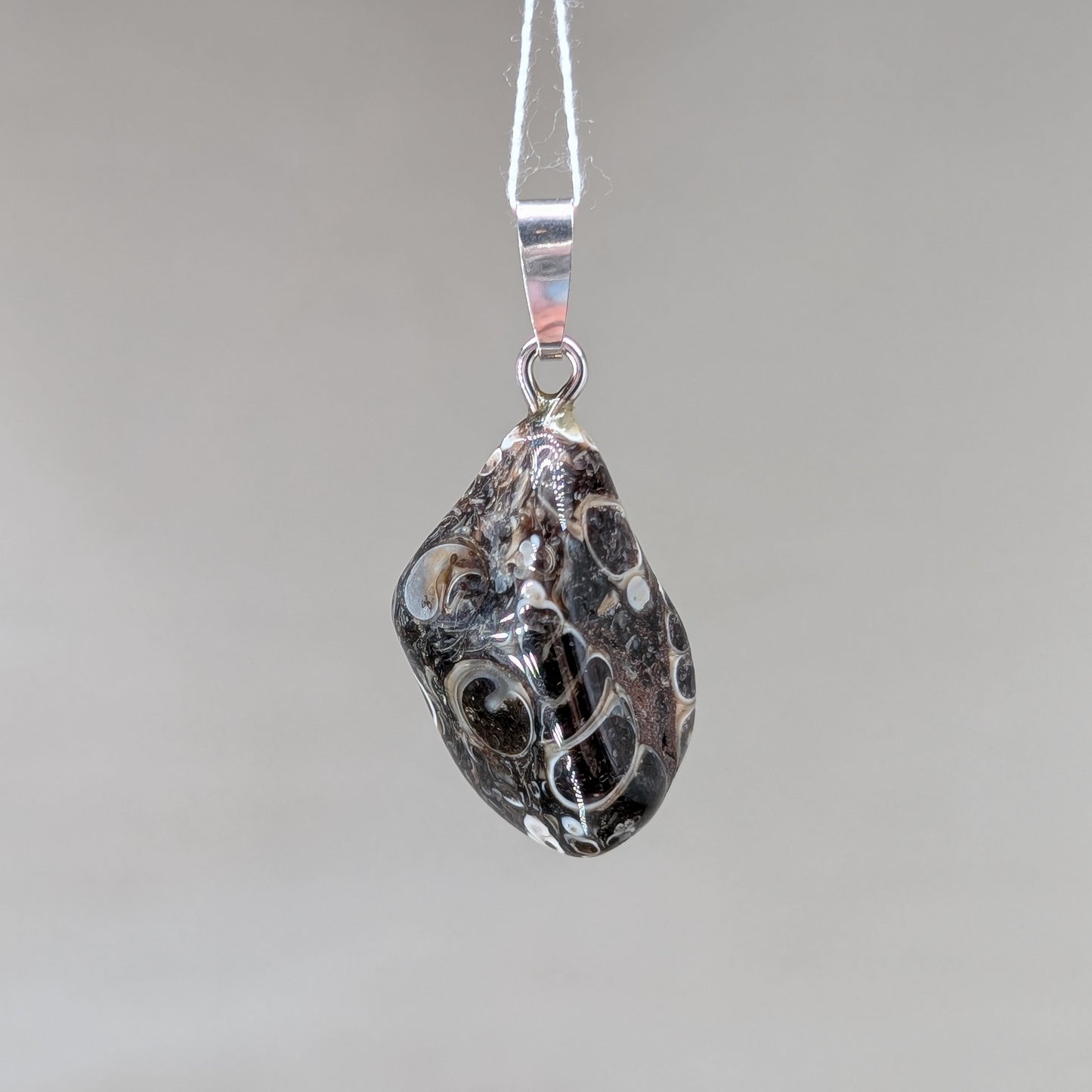 Turitella Jaspis Kettenanhänger [U]