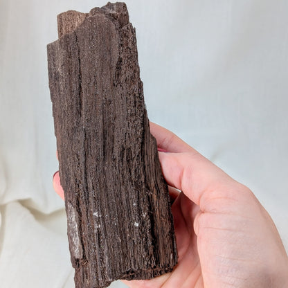Feenholz / Permineralisiertes Holz [AT]