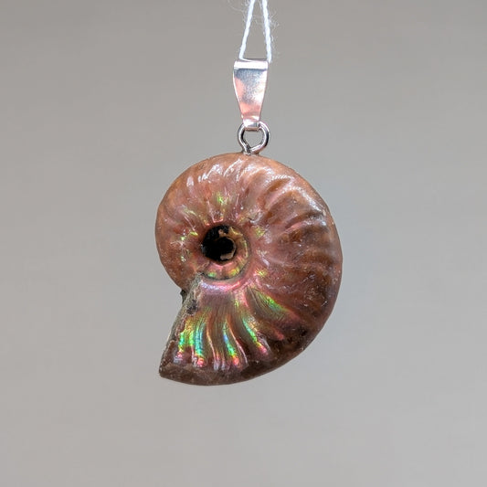 Ammonit Kettenanhänger, 925er Silber [D]