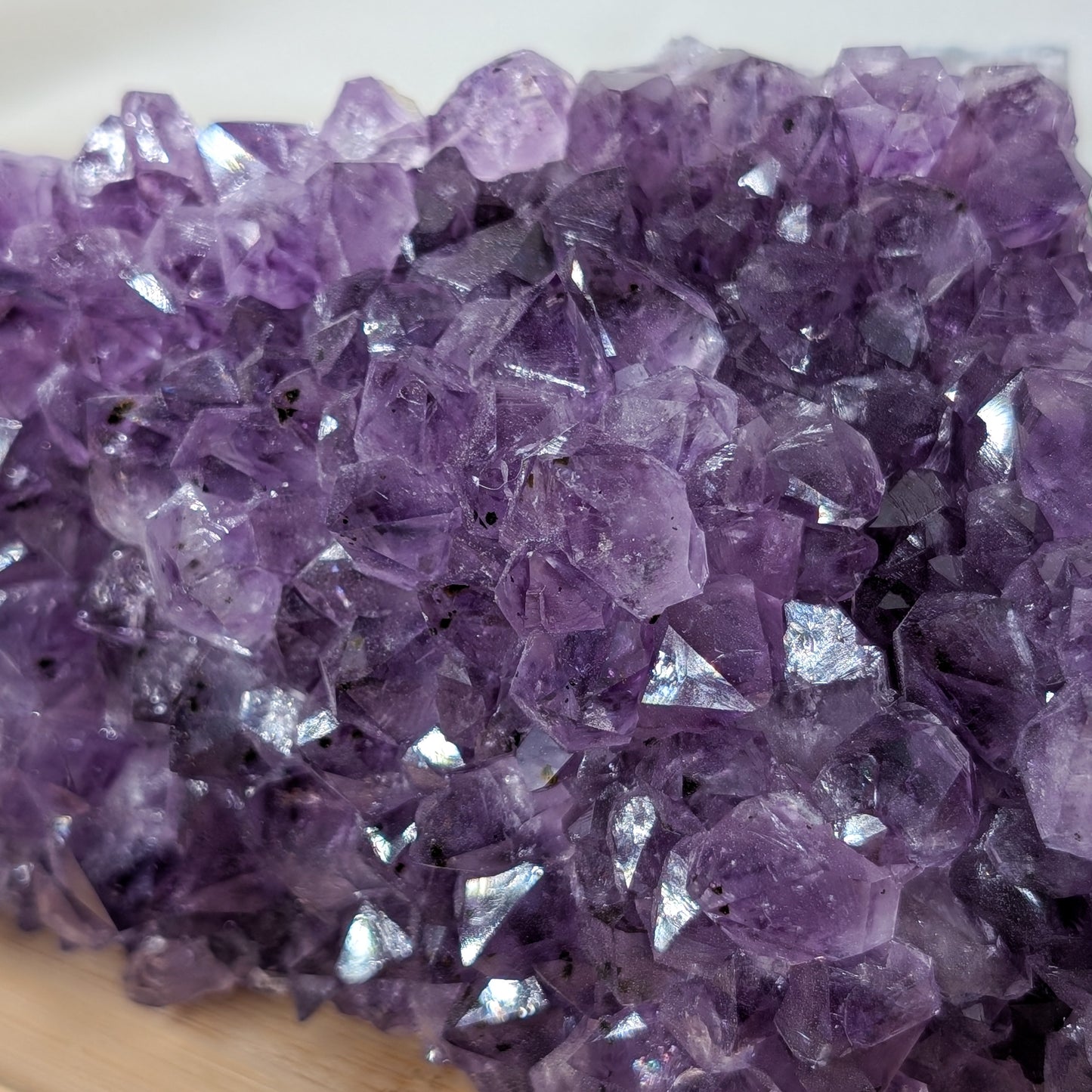 Amethyst Cluster [SG]