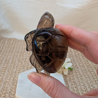 Rauchquarz Schildkröte [RS]