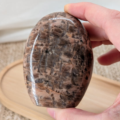 Dunkle Mondstein Freiform [L]