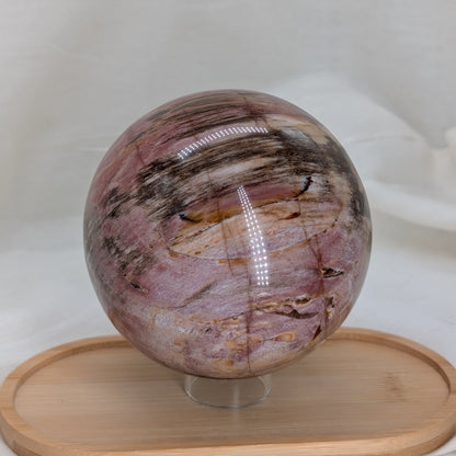 Versteinertes Holz Kugel [V]