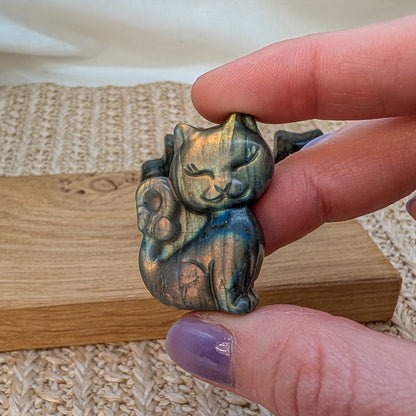 Flashy Labradorit Katze [A-C]