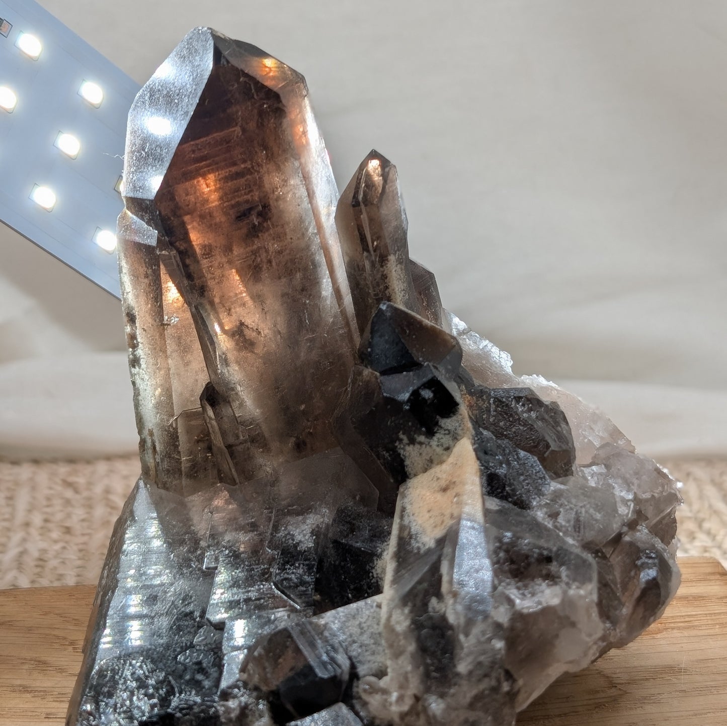 Rauchquarz Cluster [RM]