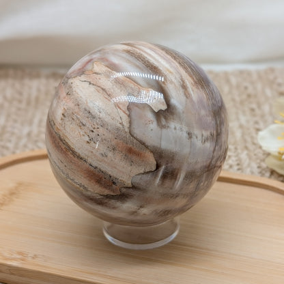 Rosa Versteinertes Holz Kugel [VK]