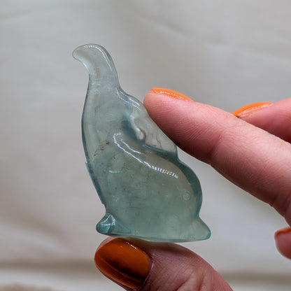 Fluorit Delfin [A-C]
