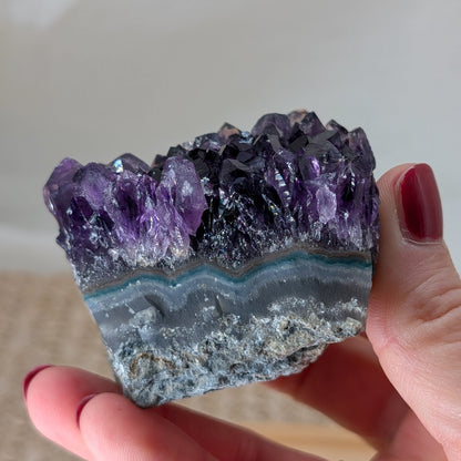 Dunkles Amethyst Cluster [OQ]