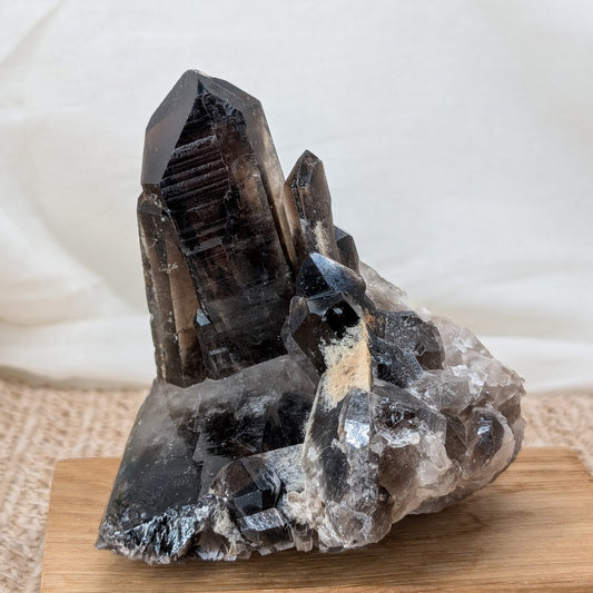 Rauchquarz Cluster [RM]