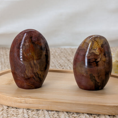 Versteinertes Holz Freiform [AH+BH]