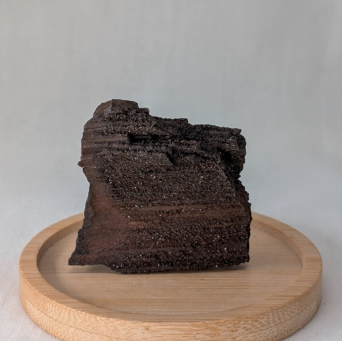 Feenholz / Permineralisiertes Holz [TB]