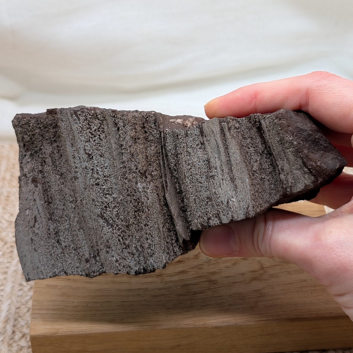 Feenholz / Permineralisiertes Holz [A]