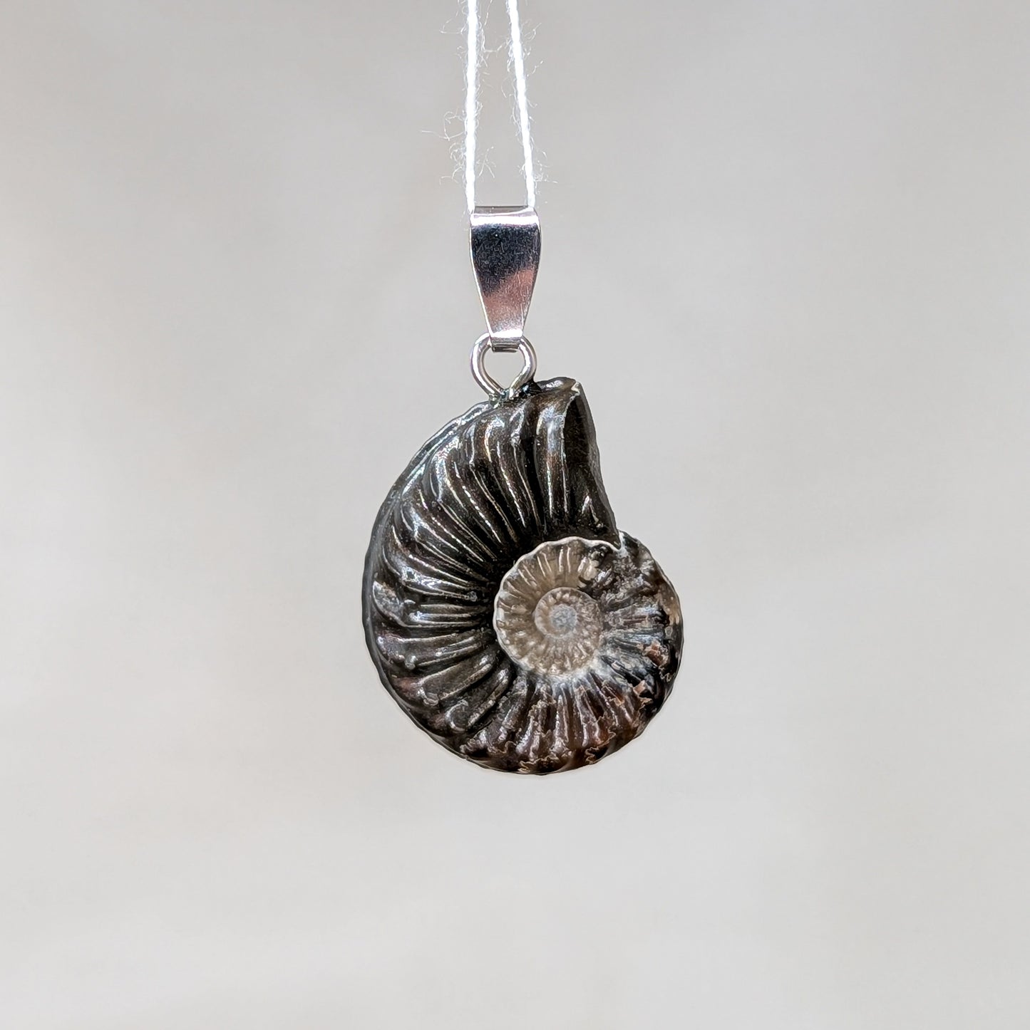 Pyritisierter Ammonit Kettenanhänger [B]