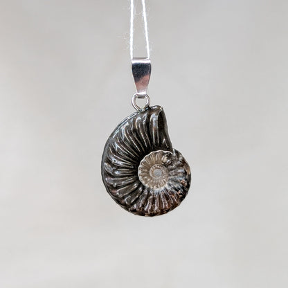Pyritisierter Ammonit Kettenanhänger [B]