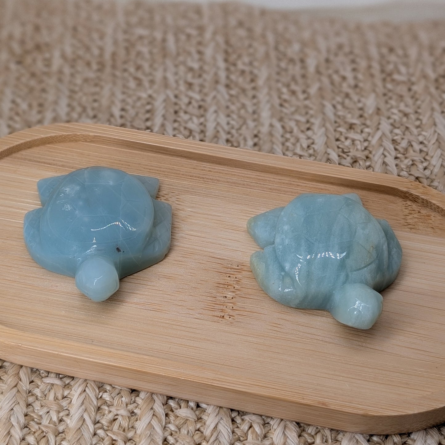 Karibischer Calcit Schildkröte [C+D]