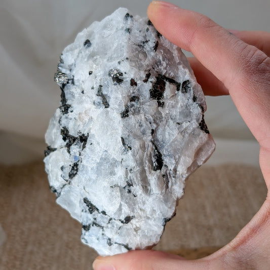 Regenbogen Mondstein Rohstein [T]