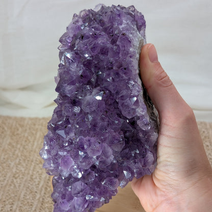 Amethyst Cluster [SG]