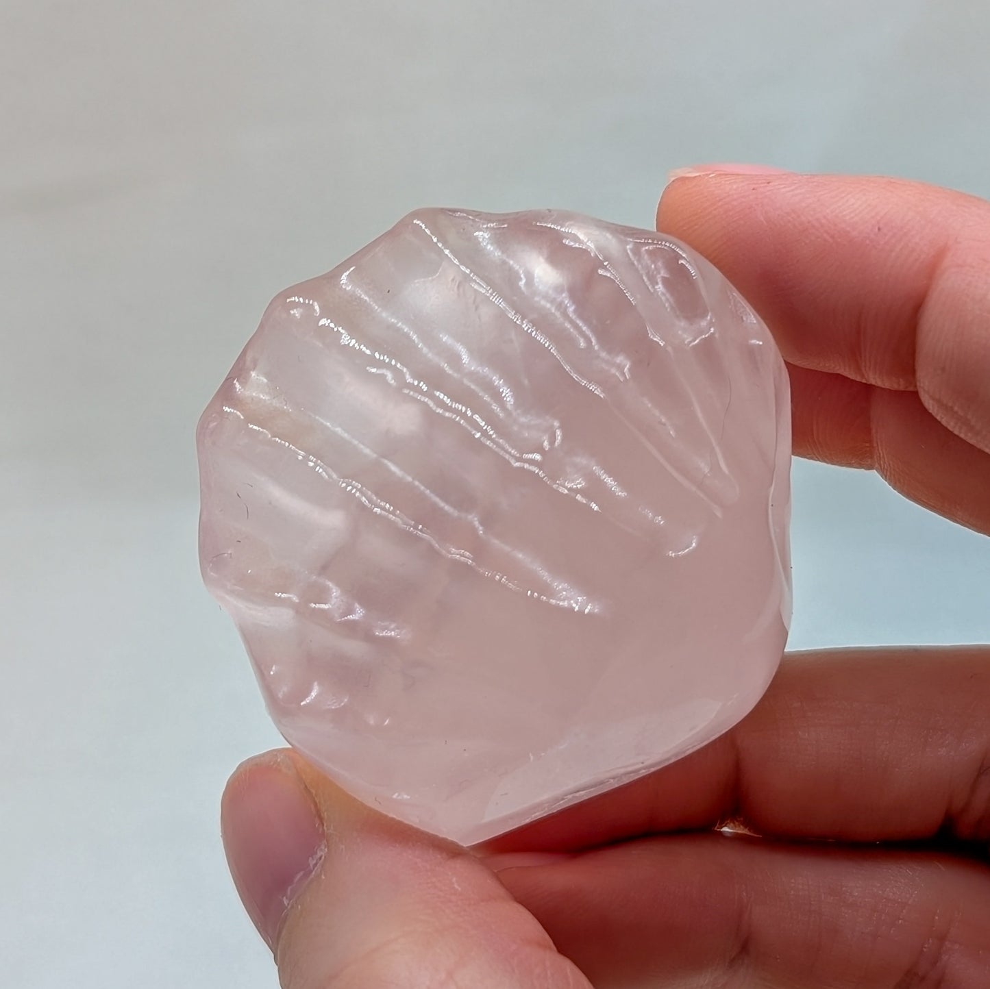 Rosenquarz Muschel [B]