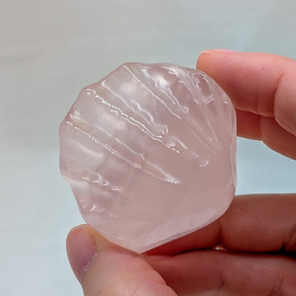 Rosenquarz Muschel [B]