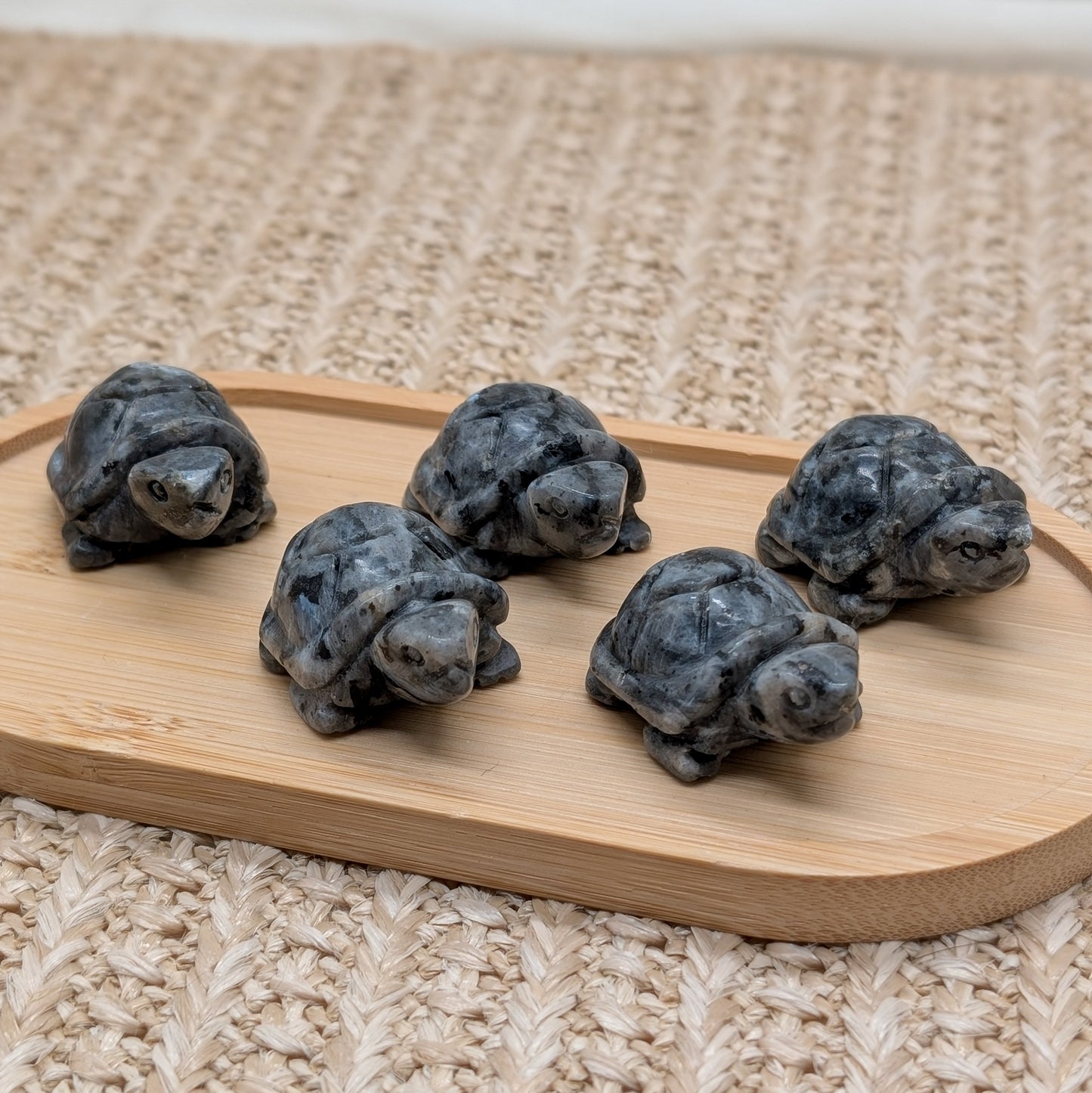 Larvikit Schildkröte
