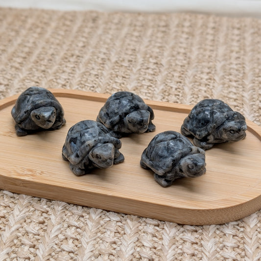 Larvikit Schildkröte