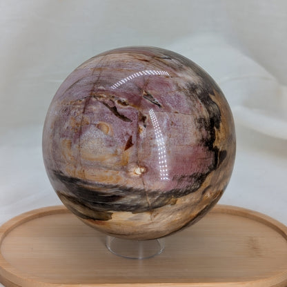 Versteinertes Holz Kugel [V]