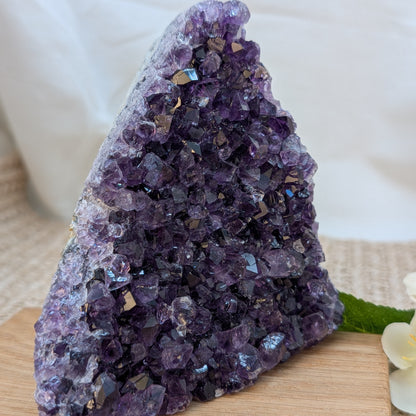 Dunkles Amethyst Cluster / Freiform [X3]