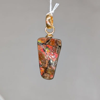 Ammolith Kettenanhänger [A]