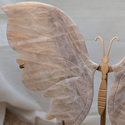 XL Mondstein Schmetterling auf Ständer [MX]