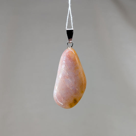 Versteinertes Palmholz Kettenanhänger [B]