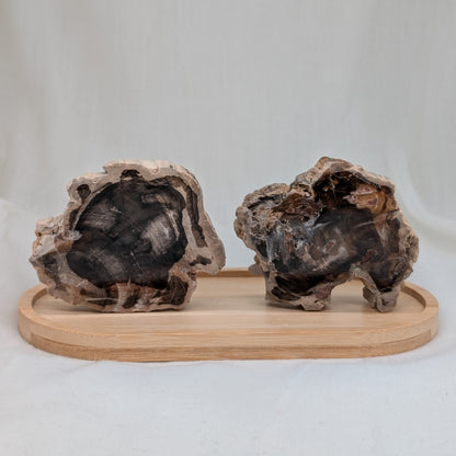 Versteinertes Holz Scheibe [A+B]