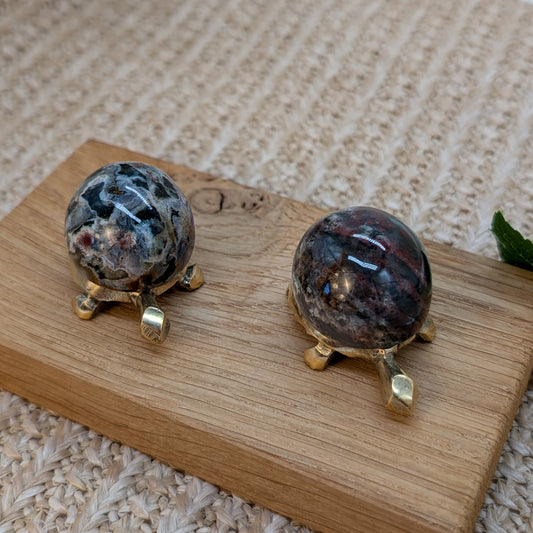 Ozeanachat Schildkröte [A+B]